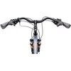 Dviratis Romet Wagant 10 2025 graphite-dark auksinis-23" / XL (Dydis: 23" / XL)
