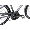 Dviratis Romet Wagant 10 2025 graphite-dark auksinis-23" / XL (Dydis: 23" / XL)