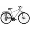 Dviratis Romet Wagant 2 2025 pilkas-graphite-19" / M (Dydis: 19" / M)