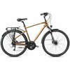 Dviratis Romet Wagant 6 2025 ruda-juodas-19" / M (Dydis: 19" / M)