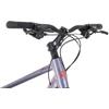 Dviratis Tabou Flow 1 19 juodas-chameleon-M / 19" (Dydis: M / 19")