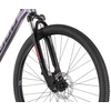 Dviratis Tabou Flow 1 21 juodas-chameleon-L / 21" (Dydis: L / 21")