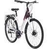 Dviratis Tabou Kinetic 3 W baltas-burgundy-L / 21" (Dydis: L / 21")