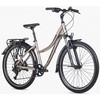 Dviratis Unibike Emotion 27.5 2026 titan-M / 17" (Dydis: M / 17")