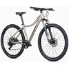 Dviratis Unibike Move 29 2026 titan-M / 17" (Dydis: M / 17")