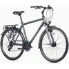 Dviratis Unibike Vision GTS 2026 pilkas-L / 21" (Dydis: L / 21")