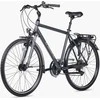Dviratis Unibike Vision GTS 2026 pilkas-M / 19" (Dydis: M / 19")