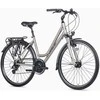 Dviratis Unibike Vision LDS 2026 champane-L / 19" (Dydis: L / 19")
