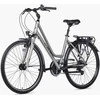 Dviratis Unibike Vision LDS 2026 champane-L / 19" (Dydis: L / 19")