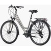 Dviratis Unibike Vision LDS 2026 champane-L / 19" (Dydis: L / 19")