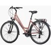 Dviratis Unibike Vision LDS 2026 coral-L / 19" (Dydis: L / 19")