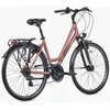 Dviratis Unibike Vision LDS 2026 coral-L / 19" (Dydis: L / 19")