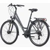 Dviratis Unibike Vision LDS 2026 pilkas-L / 19" (Dydis: L / 19")