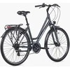 Dviratis Unibike Vision LDS 2026 pilkas-L / 19" (Dydis: L / 19")