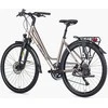 Dviratis Unibike Voyager LDS 2026 titan-L / 19" (Dydis: L / 19")