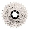 Galinis žvaigždžių blokas SunRace CSRS1 10-speed metallic-11-28T