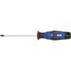 Įrankis Cyclus Tools atsuktuvas Phillips 1x100 (720521)