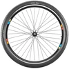 Padanga 28" ORTEM Aura 37-622 / 700x35c