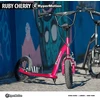 Paspirtukas HyperMotion Ruby 12.2 cherry