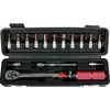 Raktų komplektas ProX with dynamometer 2-24Nm 1/4" 15-parts