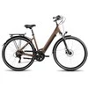 Romet Elektrinis dviratis ProEco Wave AN 1.0 R 504Wh ruda-juodas-17" / M (Dydis: 17" / M)
