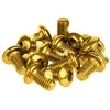 Varžtai stabdžių diskams tvirtinti Prox auksinis M5x10mm (12pcs.)