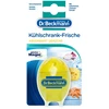 Šaldytuvo gaiviklis Dr.Beckmann 40g
