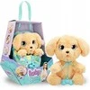 Baby Paws – Labradoras (264-921146)
