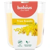 Bolsius „True Scents“ kvapioji žvakė 97 x 85 mm, „Mimosa“