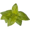 Click And Grow Click &amp; Grow sėklos išmaniajam vazonui - Citrininis bazilikas (SGR100X3) 3vnt.