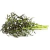 Click & Grow Smart Garden papildymas Raudona Frill Mustard 3 vnt