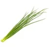 „Click & Grow Smart Garden“ papildymas žaliesiems svogūnams, 3 vnt.