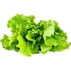 Click Grow Click And Grow SMART HOME Žalias LETTUCE REF./GLETT-REFILL-3 CLICK&amp;GROW