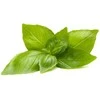 Click And Grow Click & Grow Smart Refill Lemon Basil 3pcs