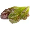 Click & Grow Smart Garden Refill Raudona romaine lettuce 3pcs SGR94X3 ()