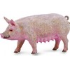 Collecta Figūrėlė Kiaulė (M)
