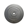 Svoris grifui su cementiniu užpildu 30mm inSPORTline 15kg
