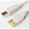USB kabelis Icidu Kabelis Brackton USB kištukas - USB kištukas B 1.8m baltas