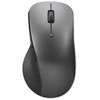 Lenovo Professional Bluetooth 4Y51J62544 (195892054498)
