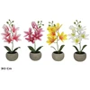 Dirbtinė magnolija vazone x3 – 32 cm, 8,5x13,5x30 cm, LITO