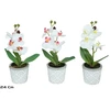 Dirbtinės orchidėjos vazone x4 – 24 cm, 10x14x24 cm, LITO