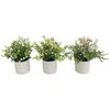 Dirbtinis eukaliptas su gipsofila vazone 21 cm, 12x12x21 cm, LITO