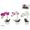 Kwiatydonice Dirbtinės orchidėjos vazone 34 cm 10x20x34 cm LITO