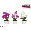 Dirbtinės orchidėjos vazone – 19 cm, 9x9x19 cm, LITO