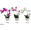 Dirbtinės orchidėjos vazone x7 – 30 cm, 13x22x30 cm, LITO