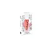 Nailmatic KIDS PEACH Rollette Lūpų blizgis Persikų skonio lūpų blizgesys, 6.5 ml