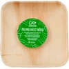 Gogreen Shoot Palm Ships Go Žalias 15x15cm 10 piece/ 0.22kg
