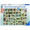 Ravensburger Puzzle 3000 Animal Stamps 17079 (4005556170791)