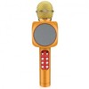 Riff Mikrofonas WS-1816 (WS-1816/GO)