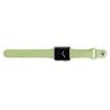 Snaige Siksniņa Snaige Apple Silicone Strap For Apple Watch 42mm Žalias TIW42MMSTGREE